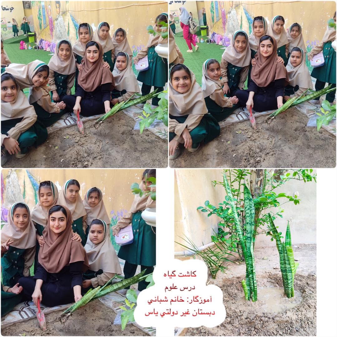 علوم/ کاشت گیاه( خانم شبانی)